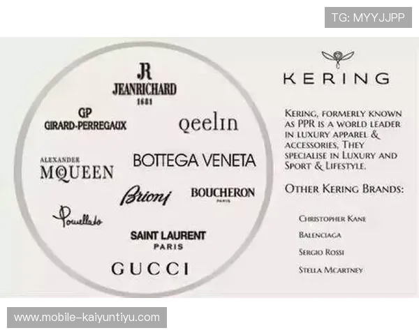 探索开云官网的独特购物体验，揭示在线购买奢侈品的新趋势